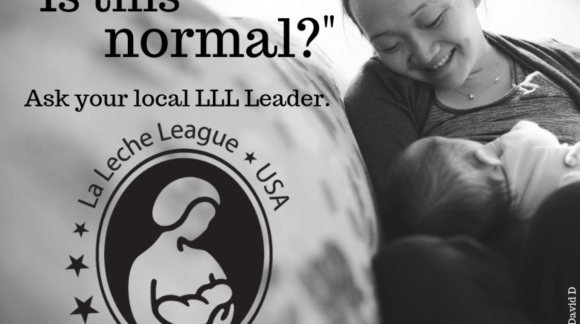 La Leche League of Kirkland Seattle Area Family Fun Calendar ParentMap